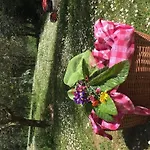 Ristorante Piccolo Chianti 3*