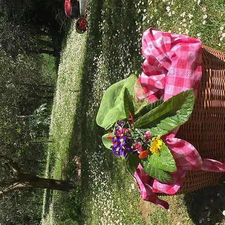 Ristorante Piccolo Chianti 3*