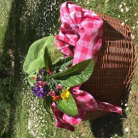 מלון Ristorante Piccolo Chianti 3*