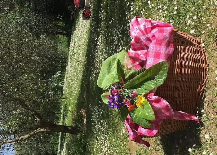 Ristorante Piccolo Chianti 3*